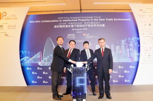 深化中新知識產(chǎn)權(quán)交流,加快推進(jìn)合作項(xiàng)目落地