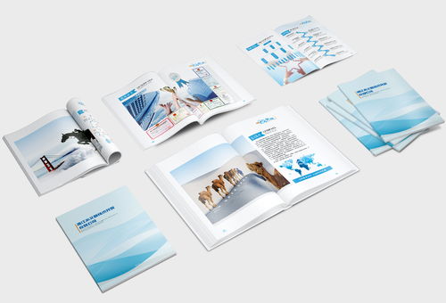 企業(yè)畫冊 公司簡介 產(chǎn)品畫冊 科技畫冊 商務(wù)畫冊